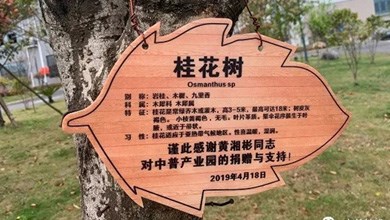 “種”希望！綠化中普，共建美麗家園